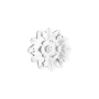 R12